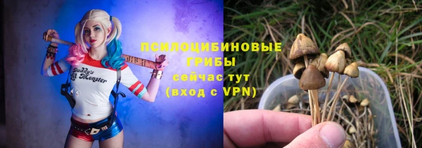 круглые Алзамай
