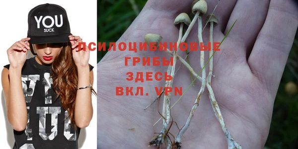 трава Алексин